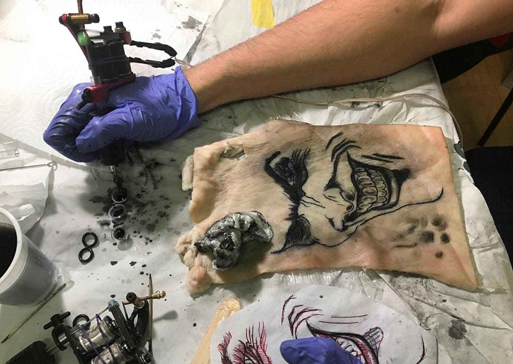 How to Use Pig Skin to Practice Tattooing  AuthorityTattoo